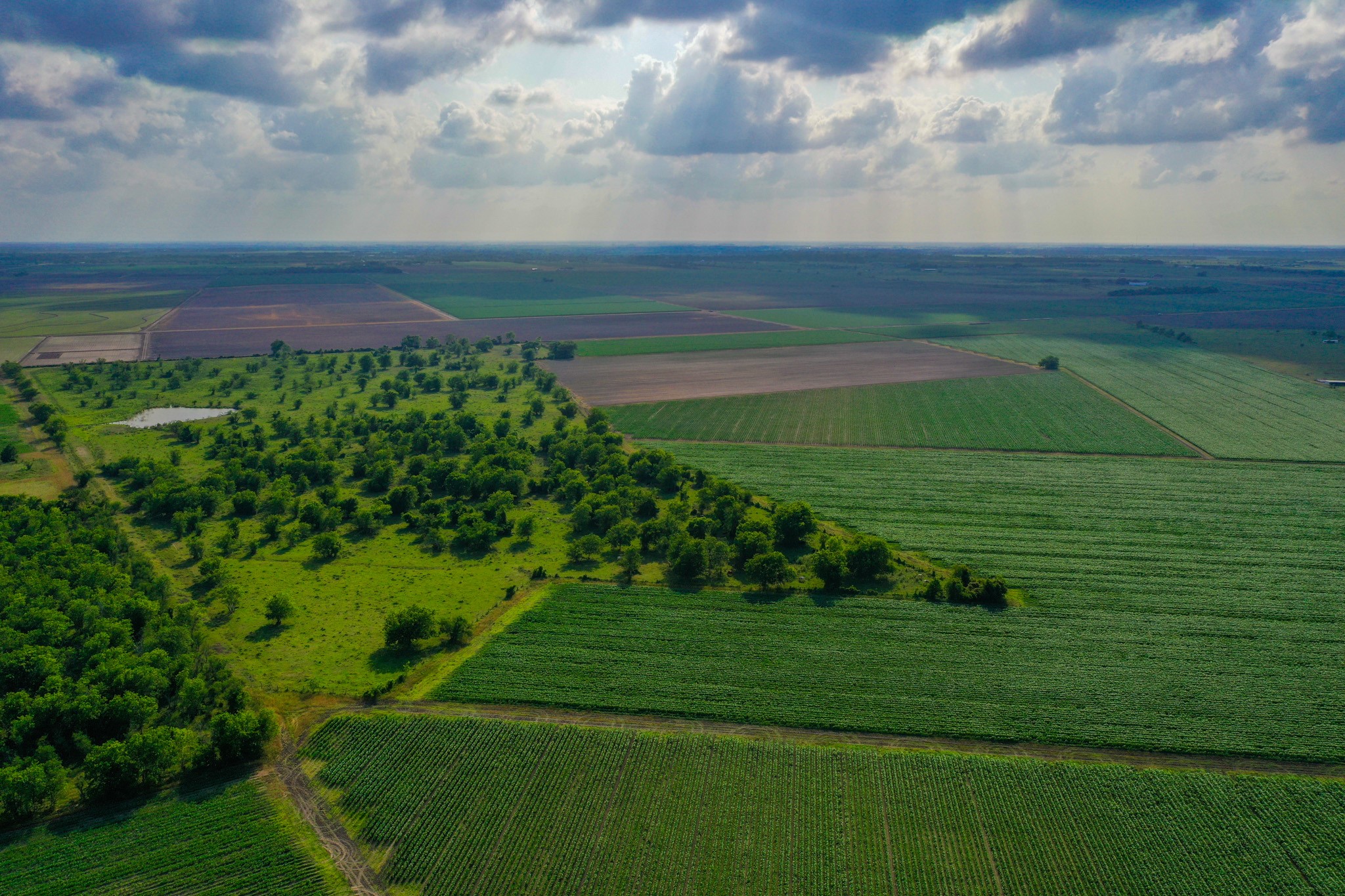 0 Koym Road Beasley, TX 77417 - Photo 18 of 19