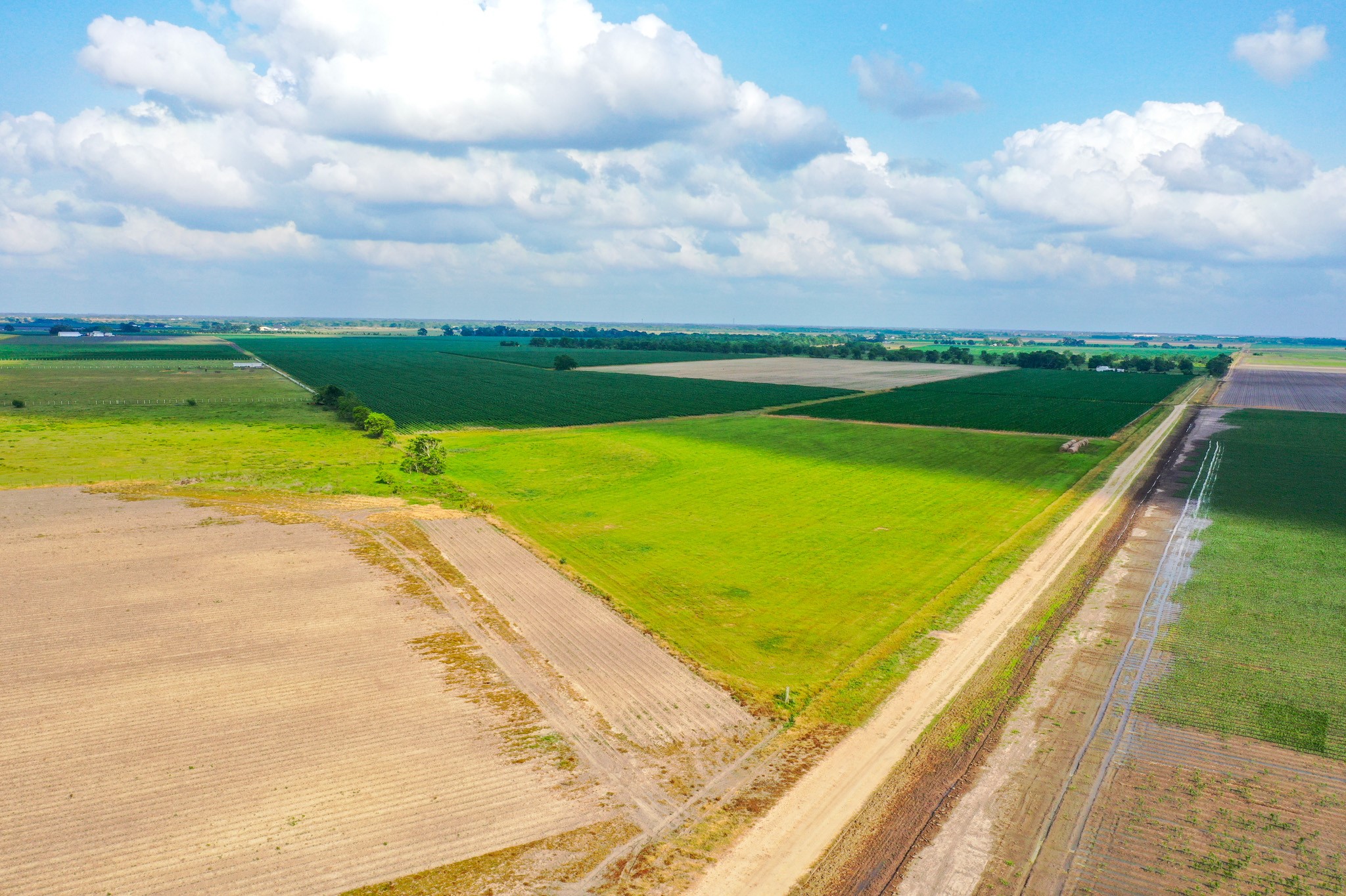 0 Koym Road Beasley, TX 77417 - Photo 4 of 19