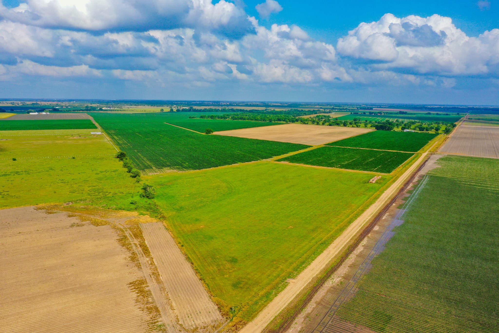 0 Koym Road Beasley, TX 77417 - Photo 5 of 19