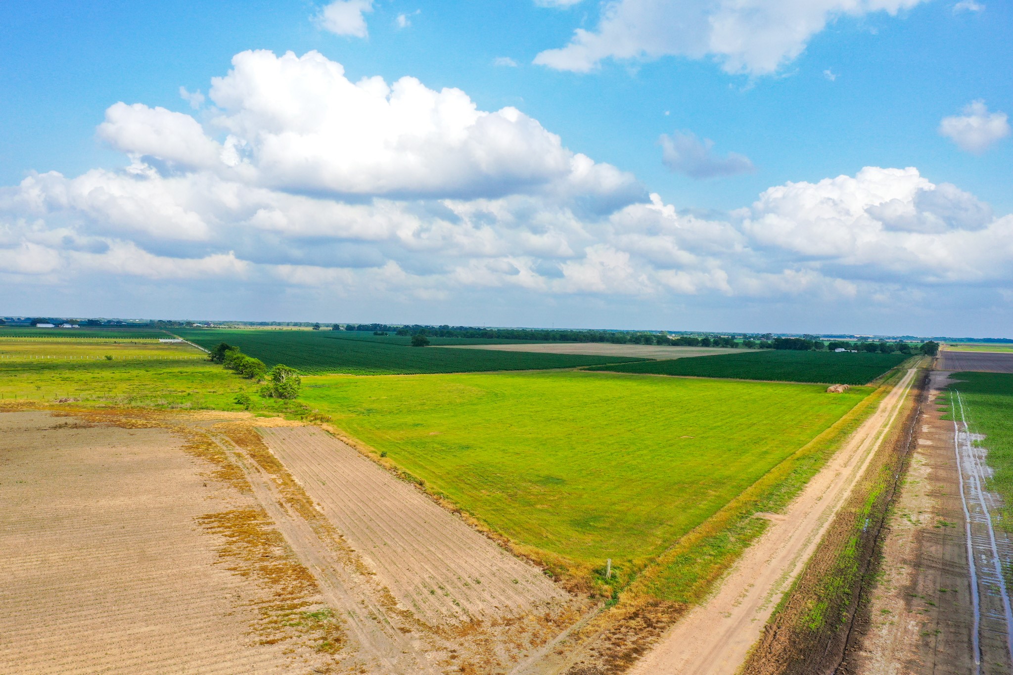 0 Koym Road Beasley, TX 77417 - Photo 6 of 19