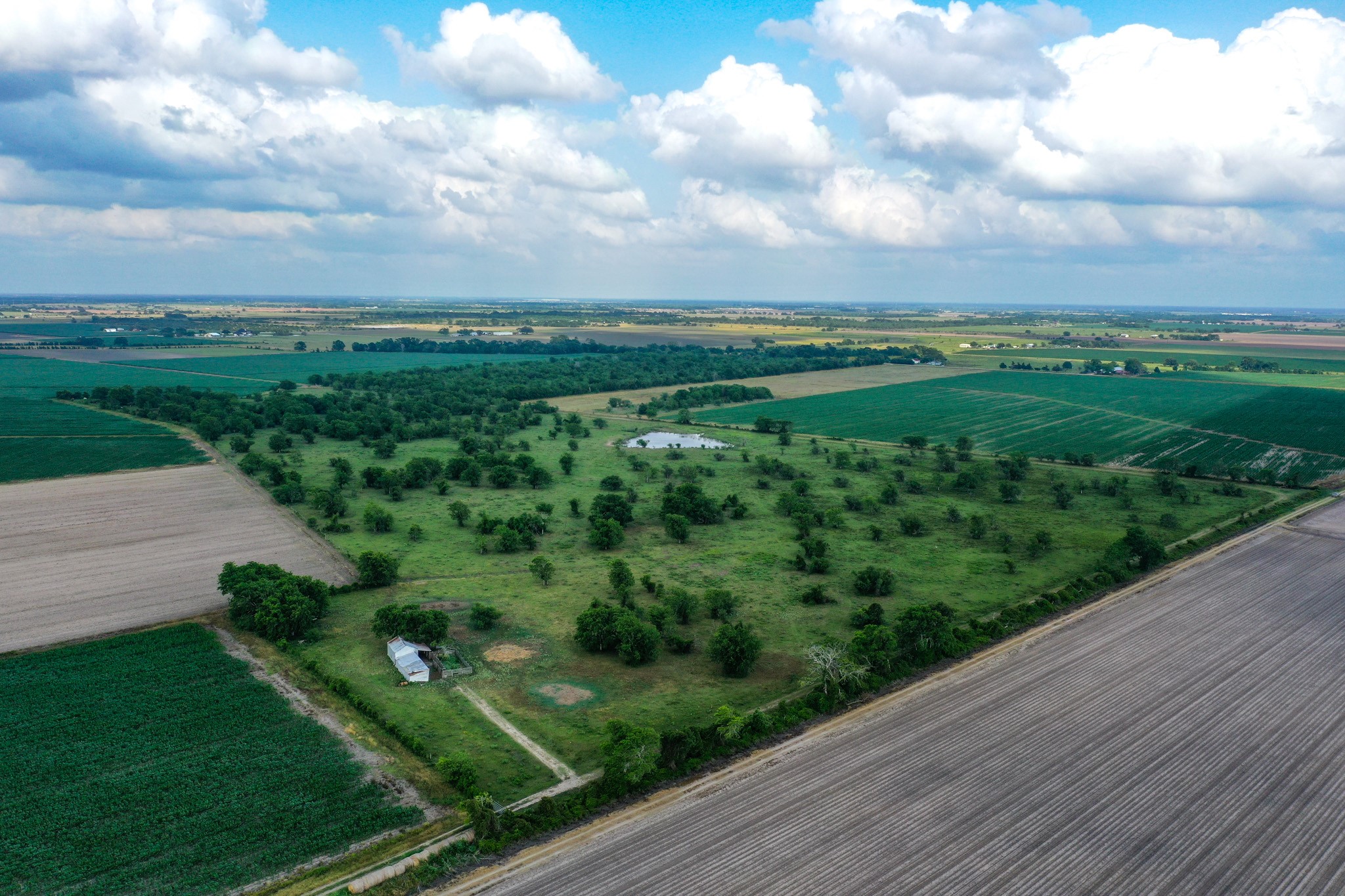 0 Koym Road Beasley, TX 77417 - Photo 9 of 19