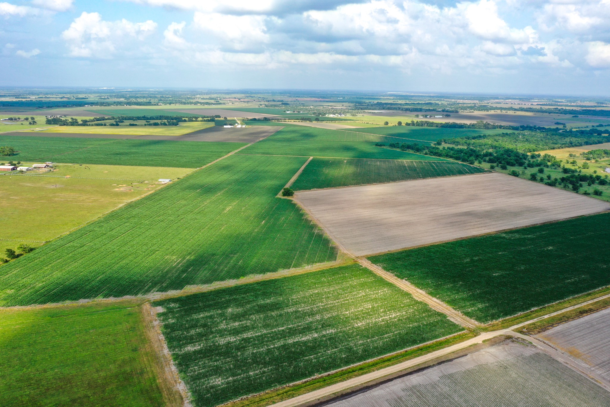 0 Koym Road Beasley, TX 77417 - Photo 9 of 21 a view of a field with an ocean view