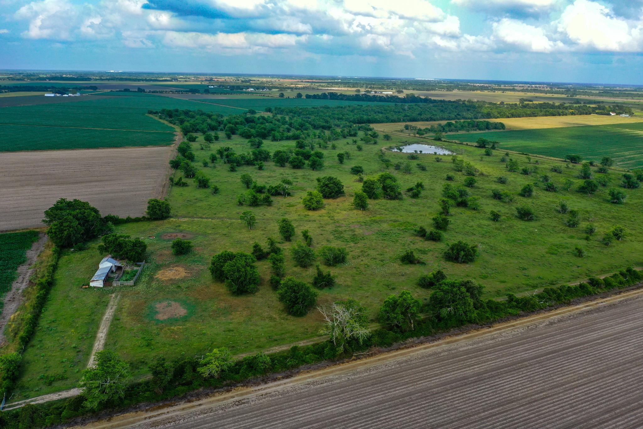 0 Koym Road Beasley, TX 77417 - Photo 10 of 19