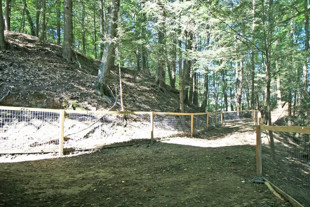 a view of a small yard