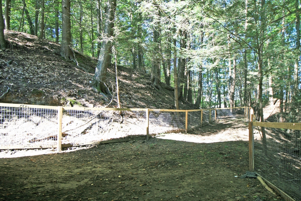 36 Torrey Street Easthampton, MA 01027 - Photo 19 of 20 a view of a small yard