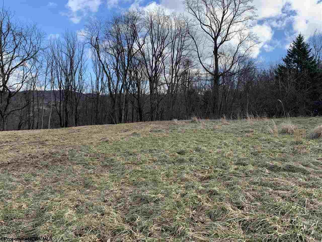 354 Tyrone Road Morgantown, WV 26508 - Photo 4 of 10 Gallery Image 4