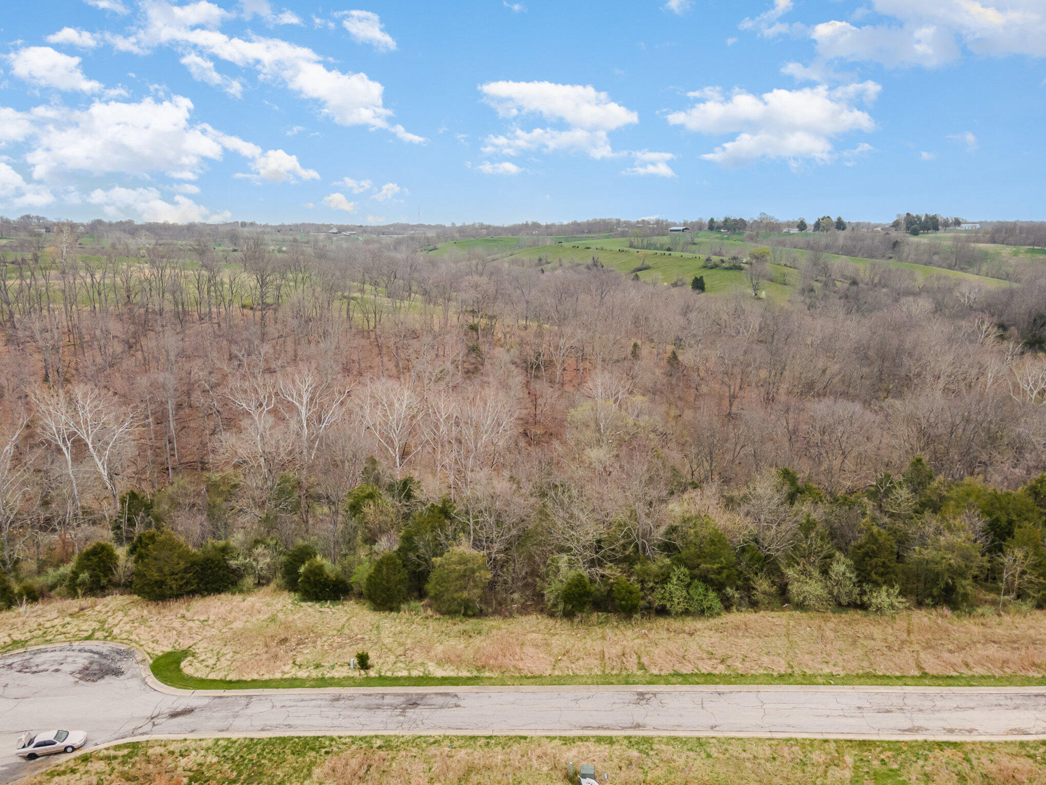 Lot 29 Saddlebrook Lane Dry Ridge, KY 41035 - Photo 10 of 17