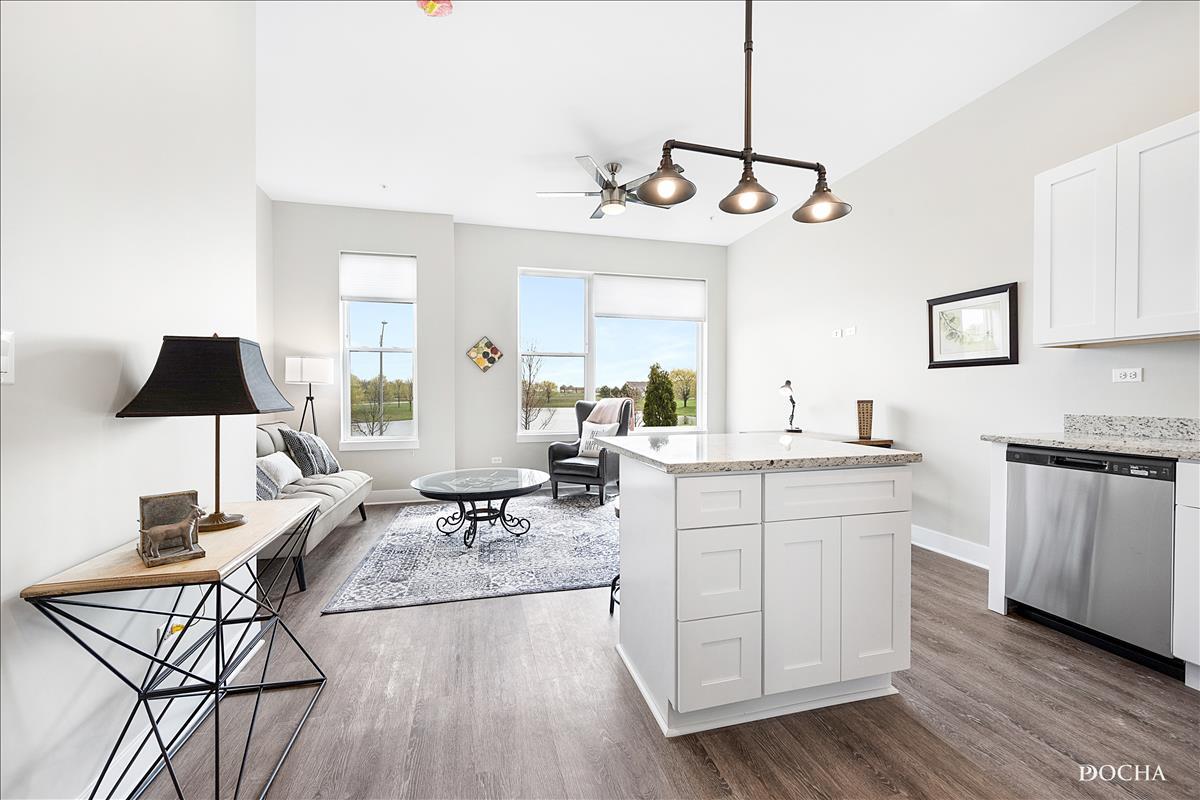 1101 Ritter Street, Unit 212 North Aurora, IL 60542 - Photo 3 of 14