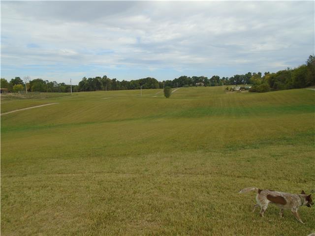 3412 Anderson Road Cedar Hill, TN 37032 - Photo 4 of 4 Gallery Image 4