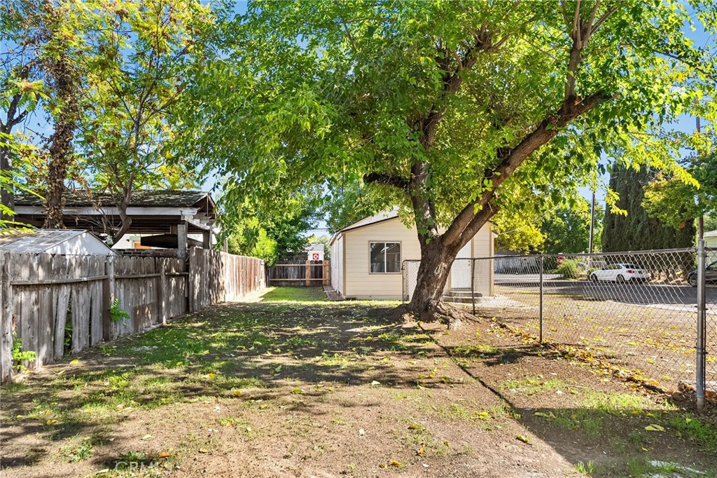224 South Jackson Street Red Bluff, CA 96080 - Photo 32 of 44 a tree in front of a white house