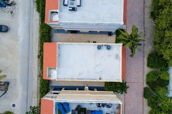an aerial view of a house with garden