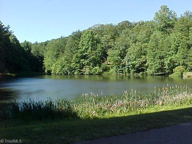 53 Chateau Road Fancy Gap, VA 24328 - Photo 14 of 14 Gallery Image 14