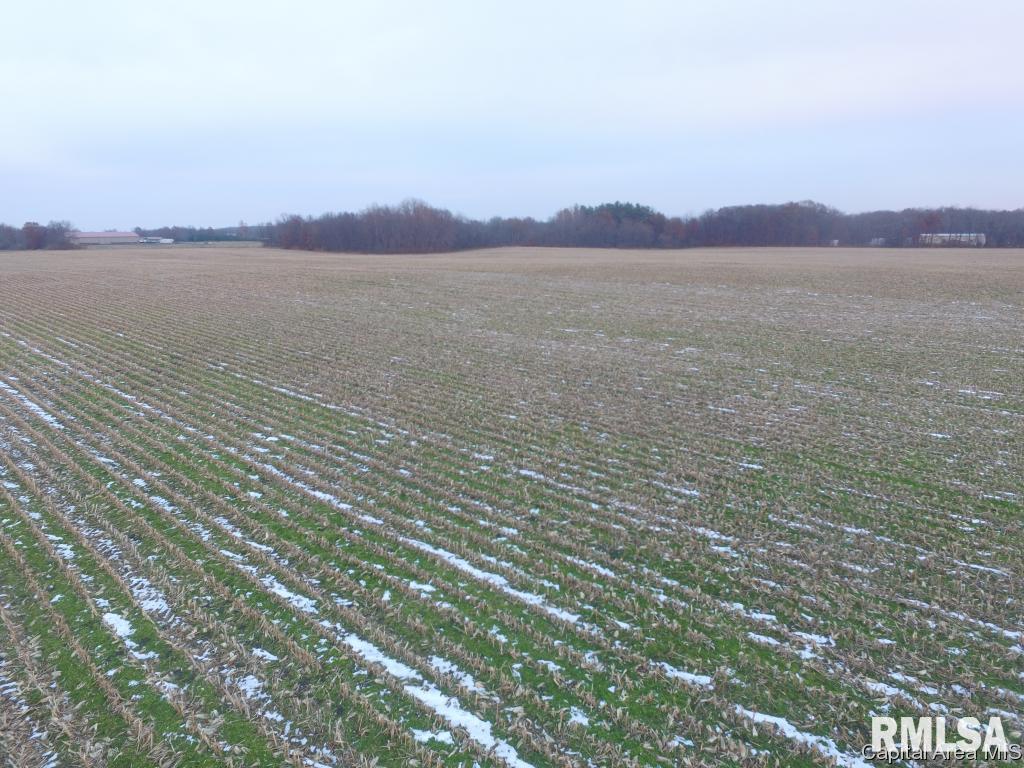 Moomey Road Mechanicsburg, IL 62545 - Photo 8 of 12 Gallery Image 8