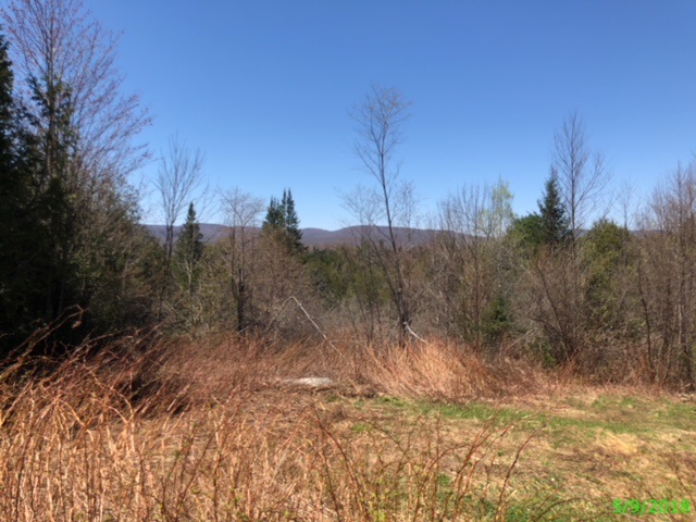 529 Warren Road Eden, VT 05652 - Photo 3 of 3