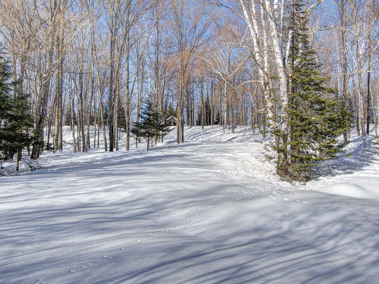 12002 Crab Lake Road Presque Isle, WI 54557 - Photo 32 of 33 Gallery Image 32
