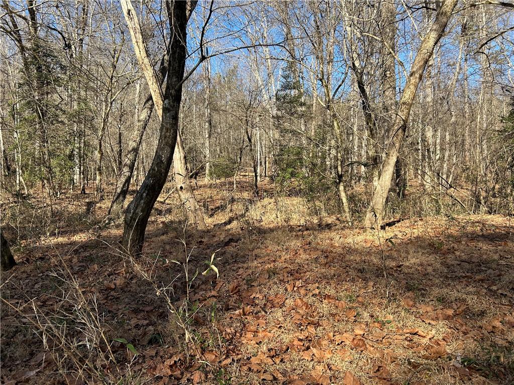 0 Twin River Orchard Road Demorest, GA 30535 - Photo 16 of 63