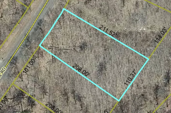 $6,995 | Lot 67 Three Mile Road, Danbury, WI 54830
