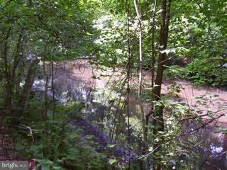 94 Sanders Lane Cream Ridge, NJ 08514 - Photo 6 of 6