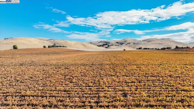 a view of an ocean and beach
