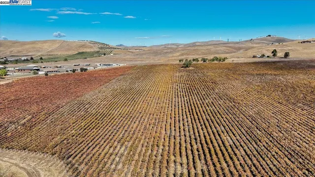 a view of an ocean beach