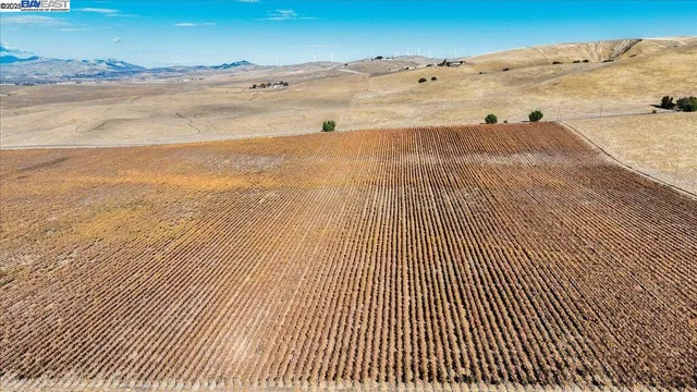 $3,999,950 | 9846 Reuss Road, Livermore, CA 94550