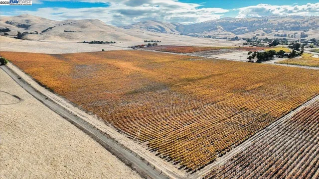 $3,999,950 | 9846 Reuss Road, Livermore, CA 94550