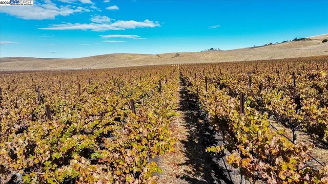 $3,999,950 | 9846 Reuss Road, Livermore, CA 94550