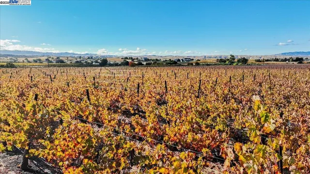 $3,999,950 | 9846 Reuss Road, Livermore, CA 94550