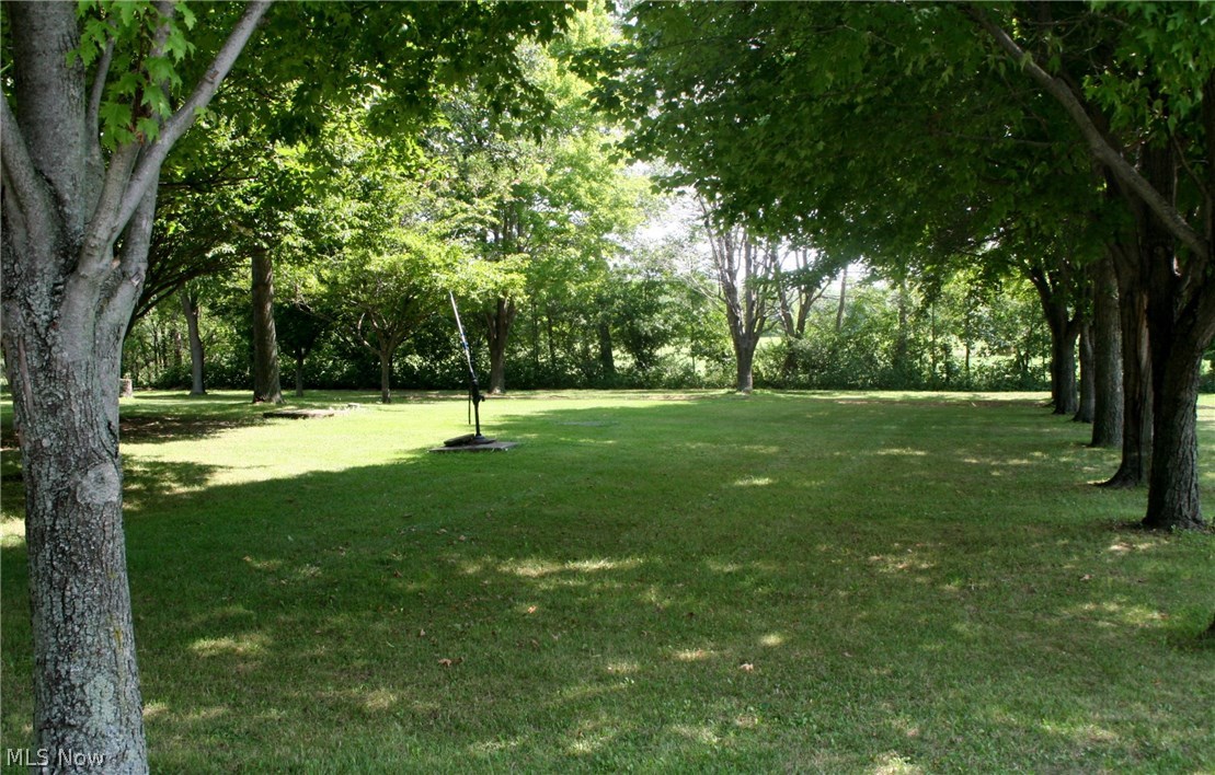 10375 West Smith Road Litchfield, OH 44253 - Photo 33 of 35 Side Yard