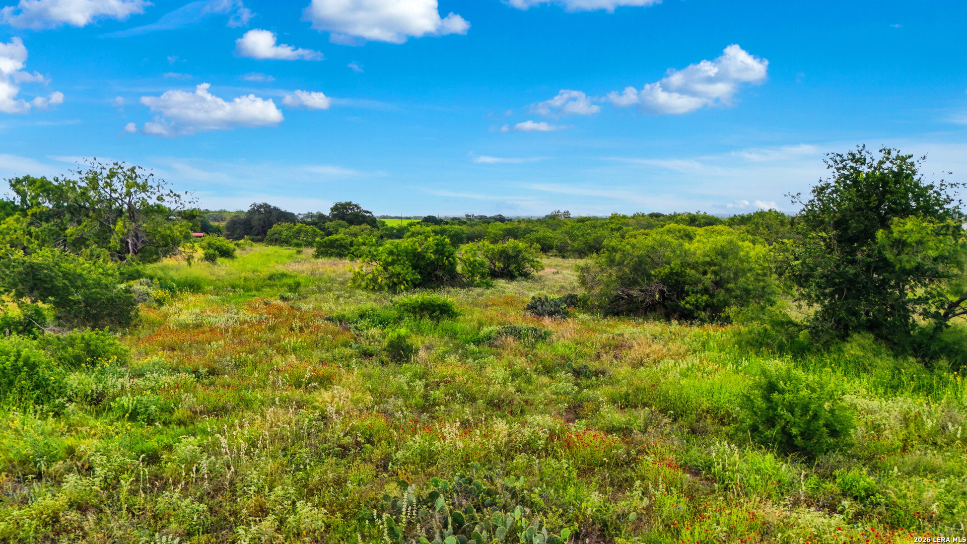 18291 Luckey Road Atascosa, TX 78002 - Photo 13 of 14