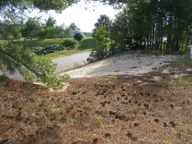 8075 East 16 Road Manton, MI 49663 - Photo 5 of 7 1822357-4.JPG
