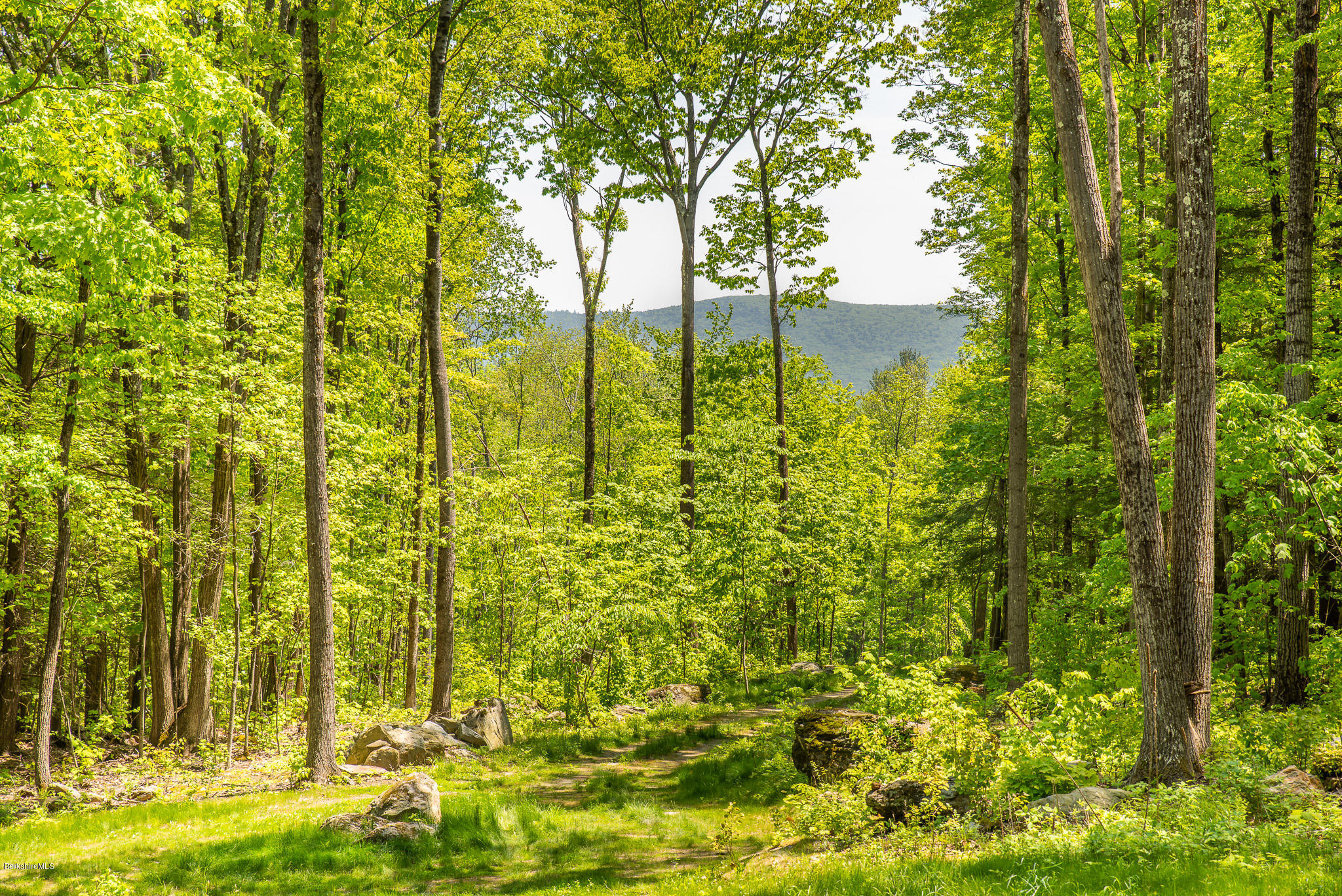 8 Campion Farms Road Stockbridge, MA 01262 - Photo 1 of 11 LONG VIEWS-WESTREN BLUFF PARCEL