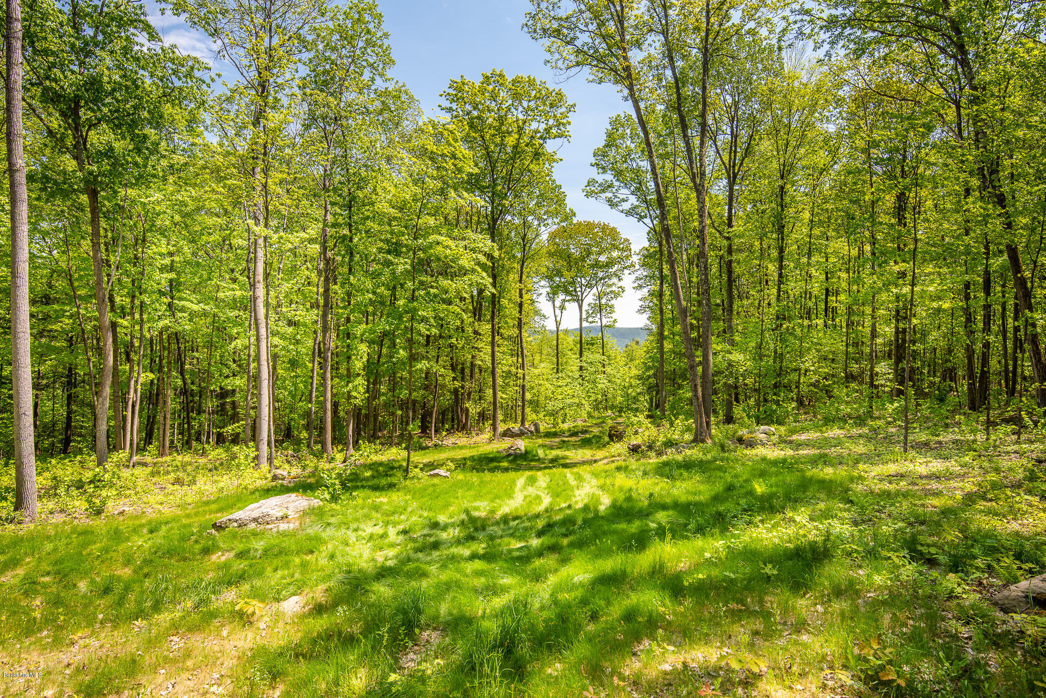 8 Campion Farms Road Stockbridge, MA 01262 - Photo 2 of 11 BUILDING SITE