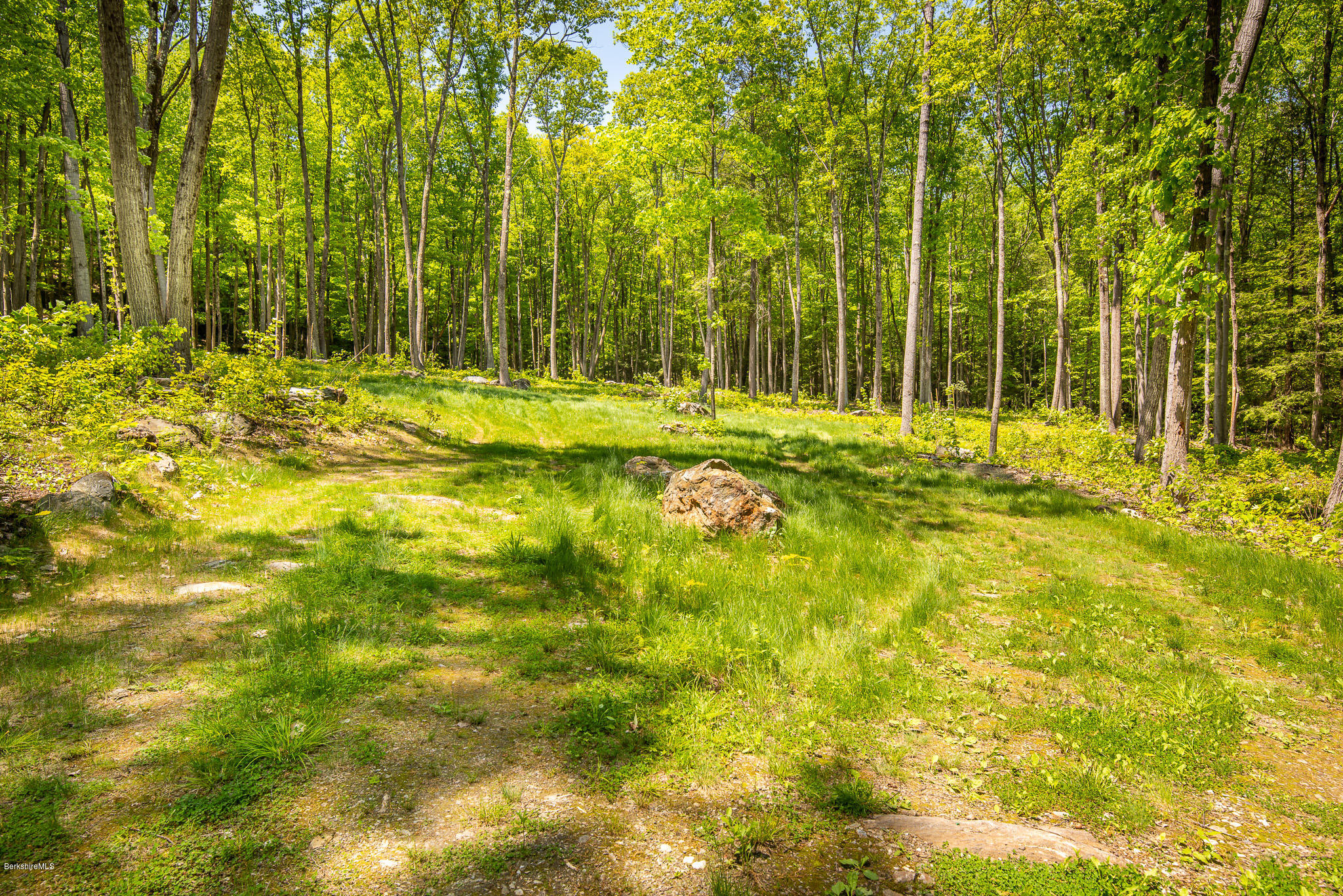 8 Campion Farms Road Stockbridge, MA 01262 - Photo 4 of 11 BUILDING SITE