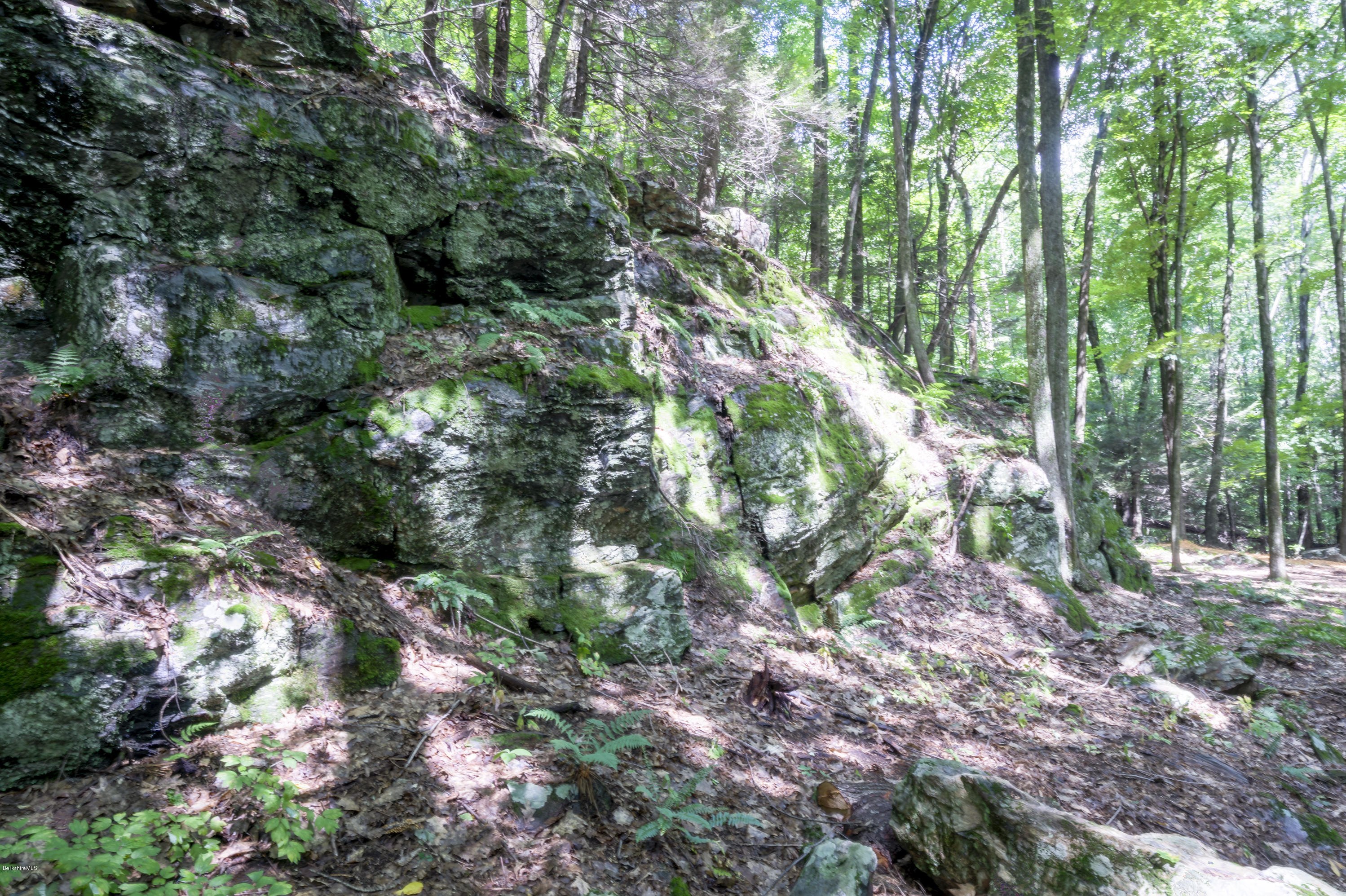 8 Campion Farms Road Stockbridge, MA 01262 - Photo 7 of 11 MOSS COVERED BOULDERS