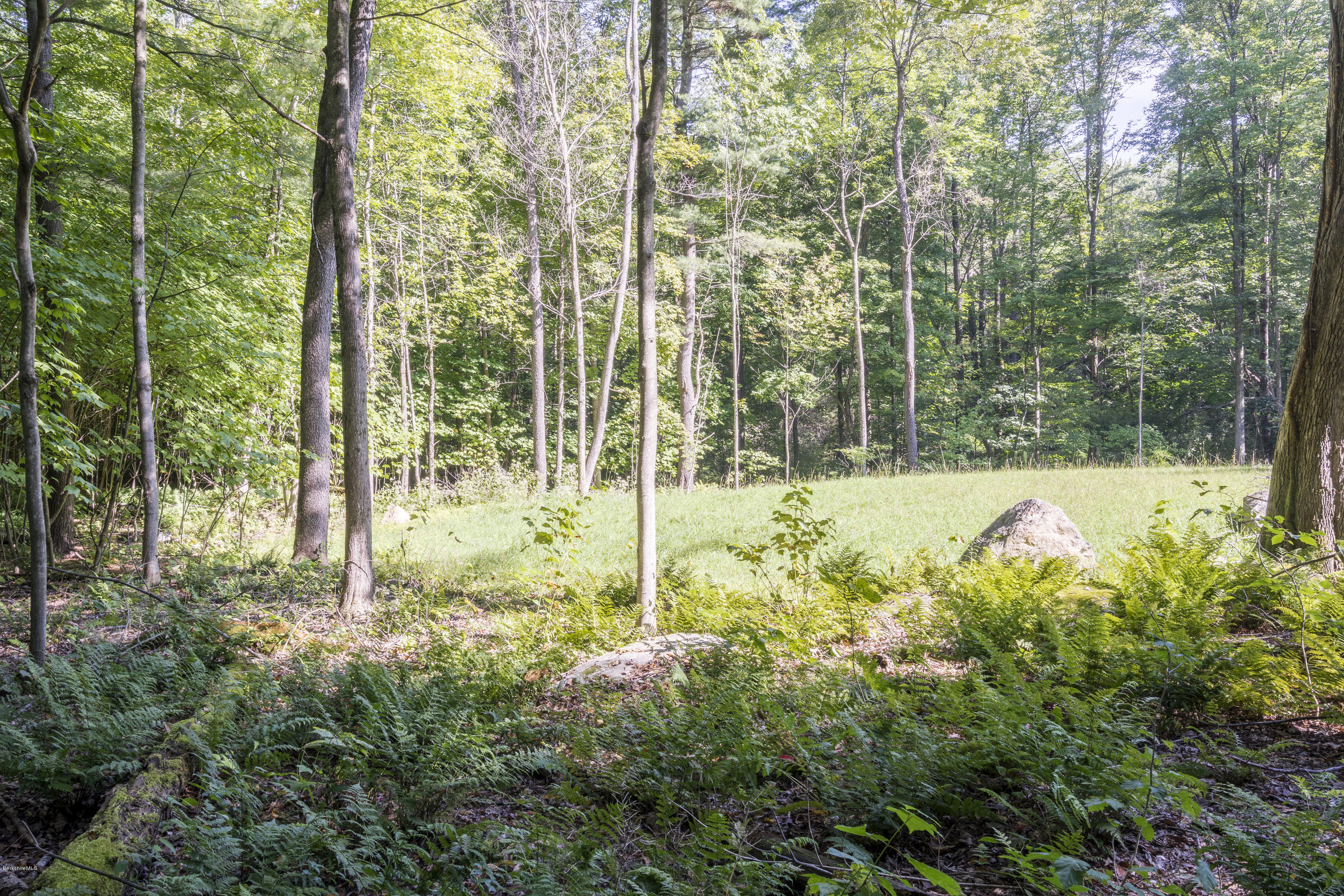 8 Campion Farms Road Stockbridge, MA 01262 - Photo 8 of 11 CLEARING