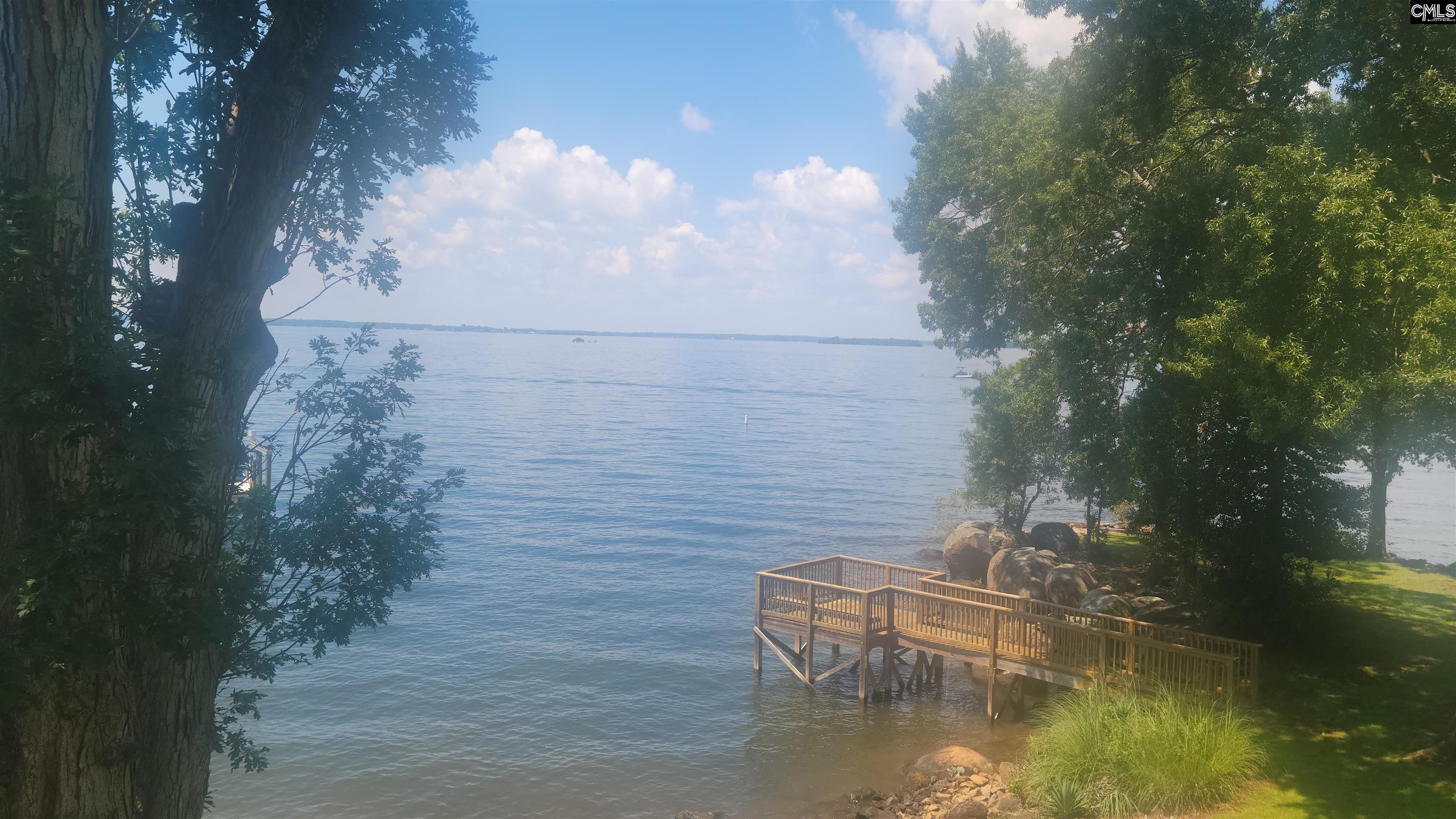 1441 Old Chapin Road, Unit 123 Lexington, SC 29072 - Photo 8 of 68