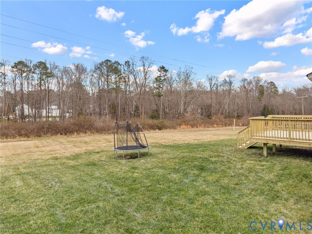 5506 Garden Grove Road Chesterfield, VA 23832 - Photo 55 of 59
