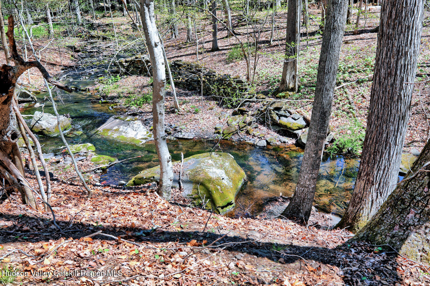 63 Meadow Road Cairo, NY 12413 - Photo 77 of 90 9zzq