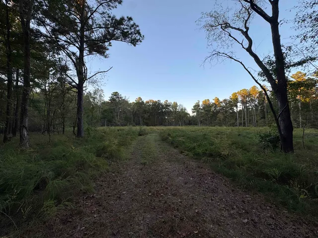 $495,000 | 11160 Wexford Drive, Eads, TN 38028