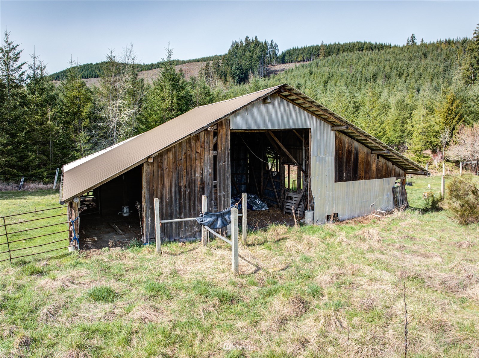 246 Kiona Road Randle, WA 98377 - Photo 6 of 24 Gallery Image 6
