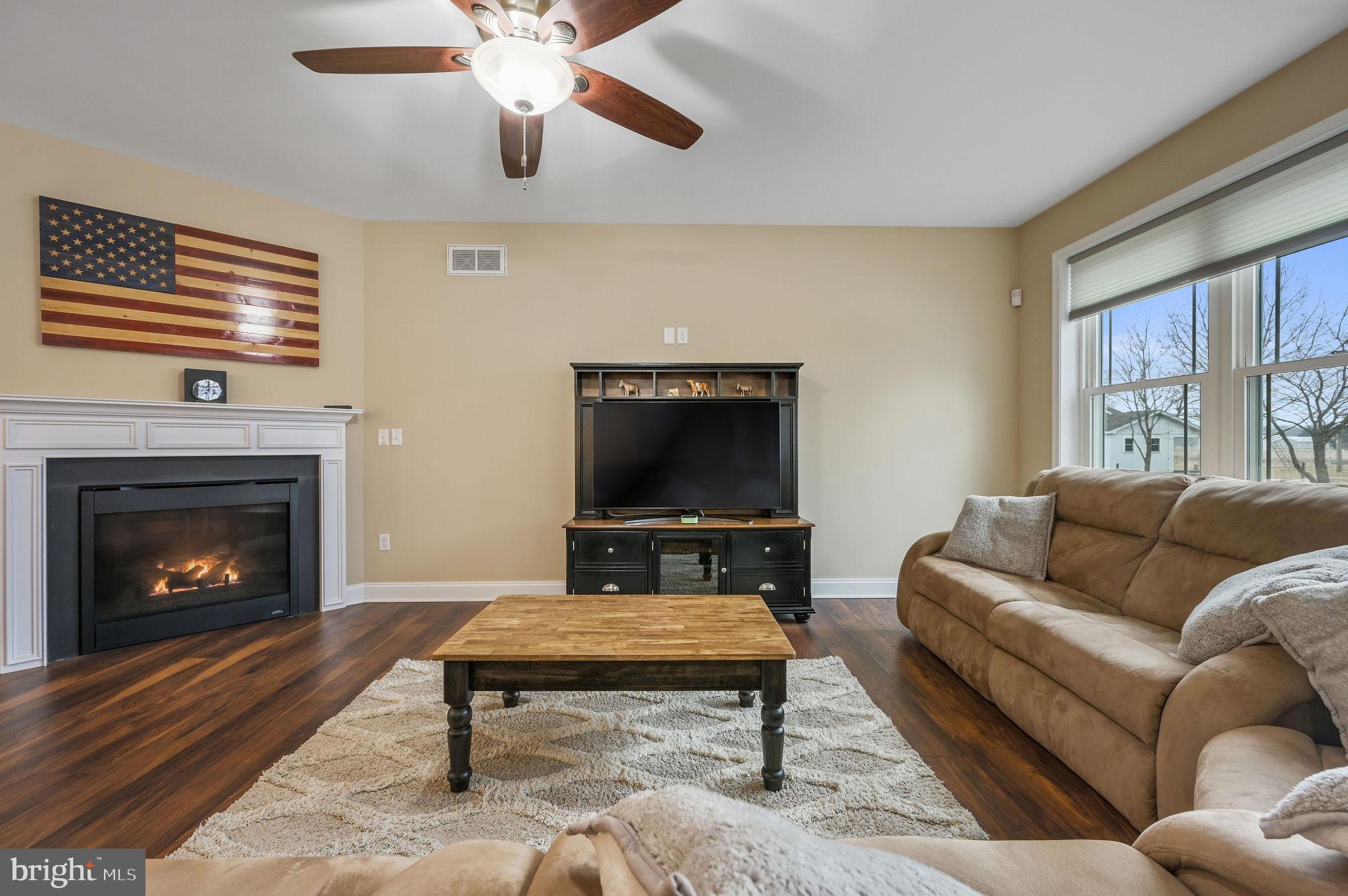 321 Blue Heron Road Dover, DE 19904 - Photo 16 of 47 a living room with furniture a flat screen tv and a fireplace