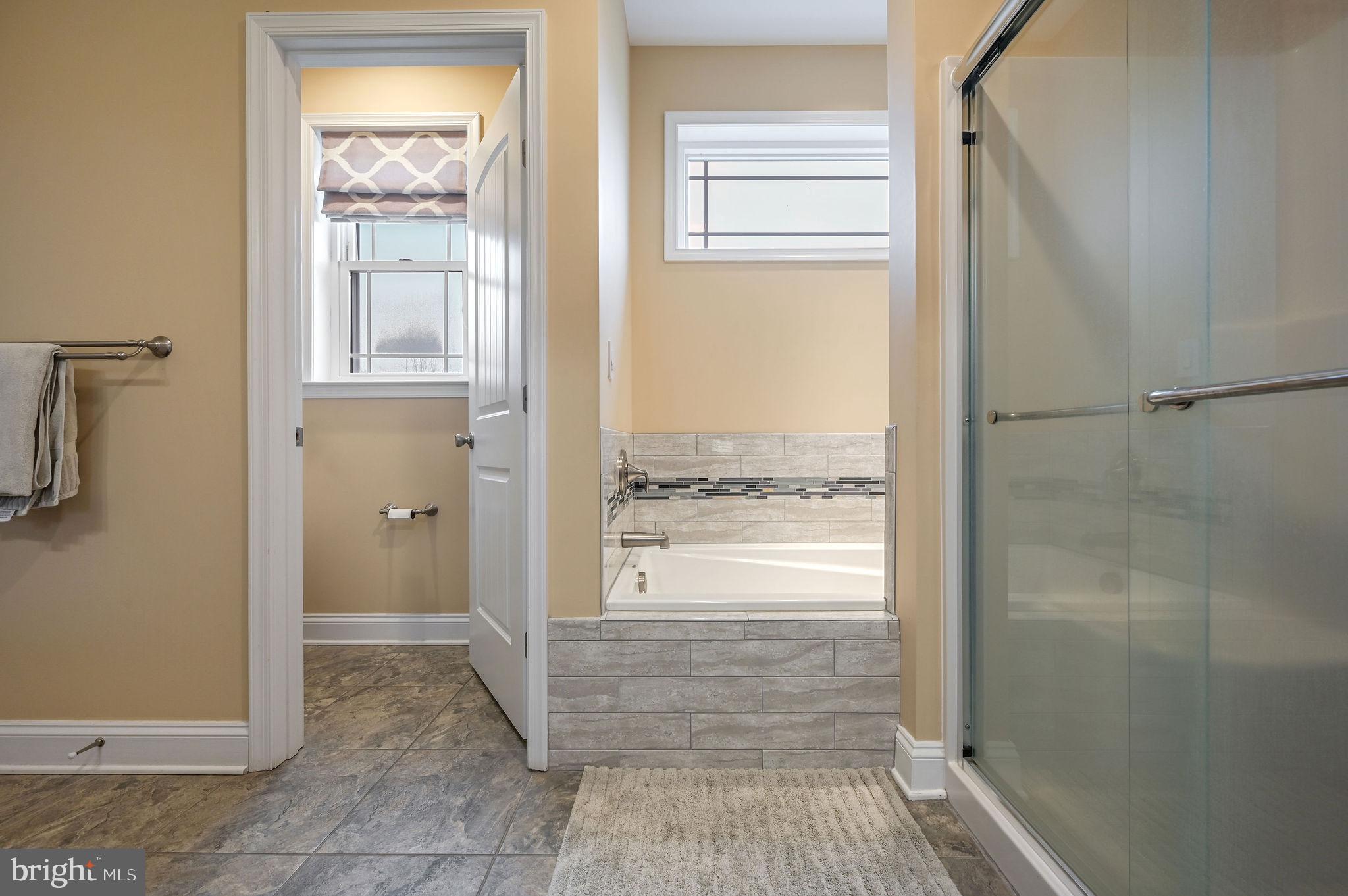321 Blue Heron Road Dover, DE 19904 - Photo 31 of 47 a bathroom with a granite countertop window and a shower
