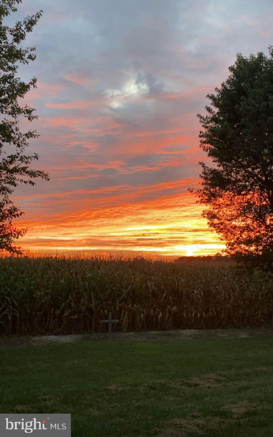 321 Blue Heron Road Dover, DE 19904 - Photo 46 of 47 a view of an ocean and a yard