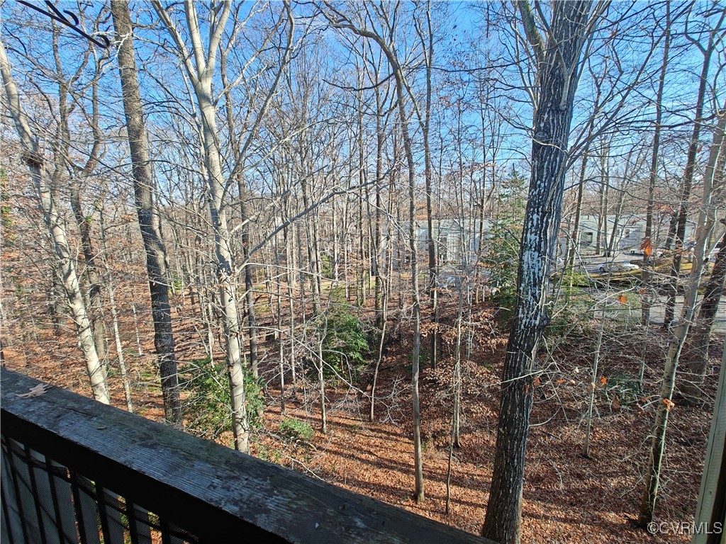 10258 Iron Mill Road North Chesterfield, VA 23235 - Photo 9 of 20 View off of porch