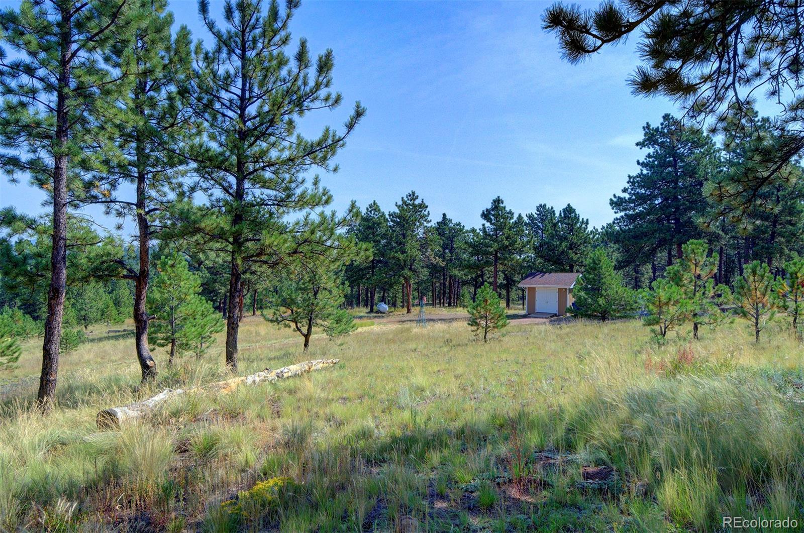 868 Julia Road Guffey, CO 80820 - Photo 38 of 40