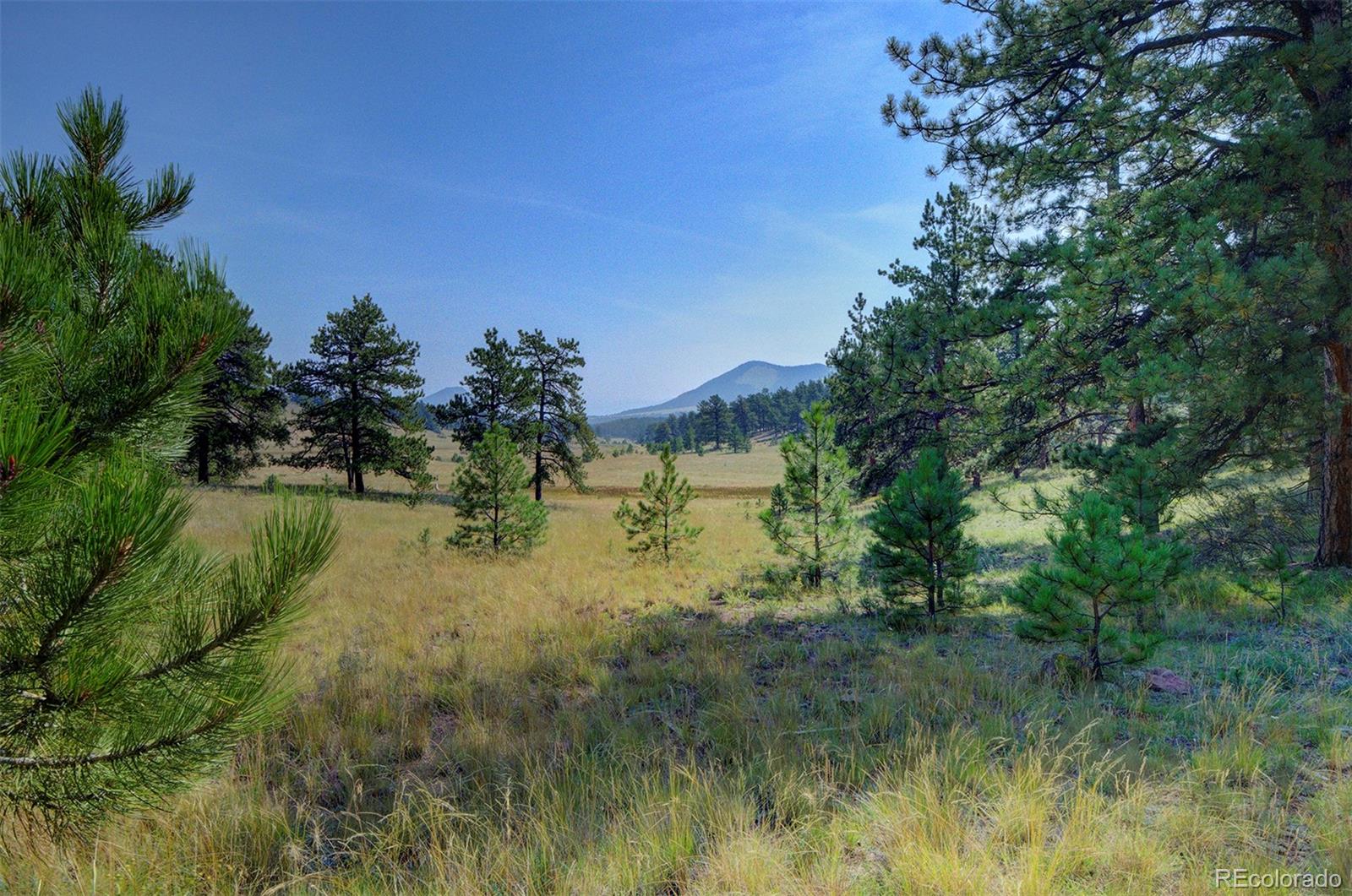 868 Julia Road Guffey, CO 80820 - Photo 4 of 40