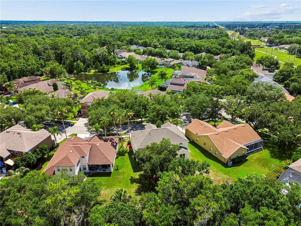 16936 Falconridge Road Lithia, FL 33547 - Photo 84 of 87