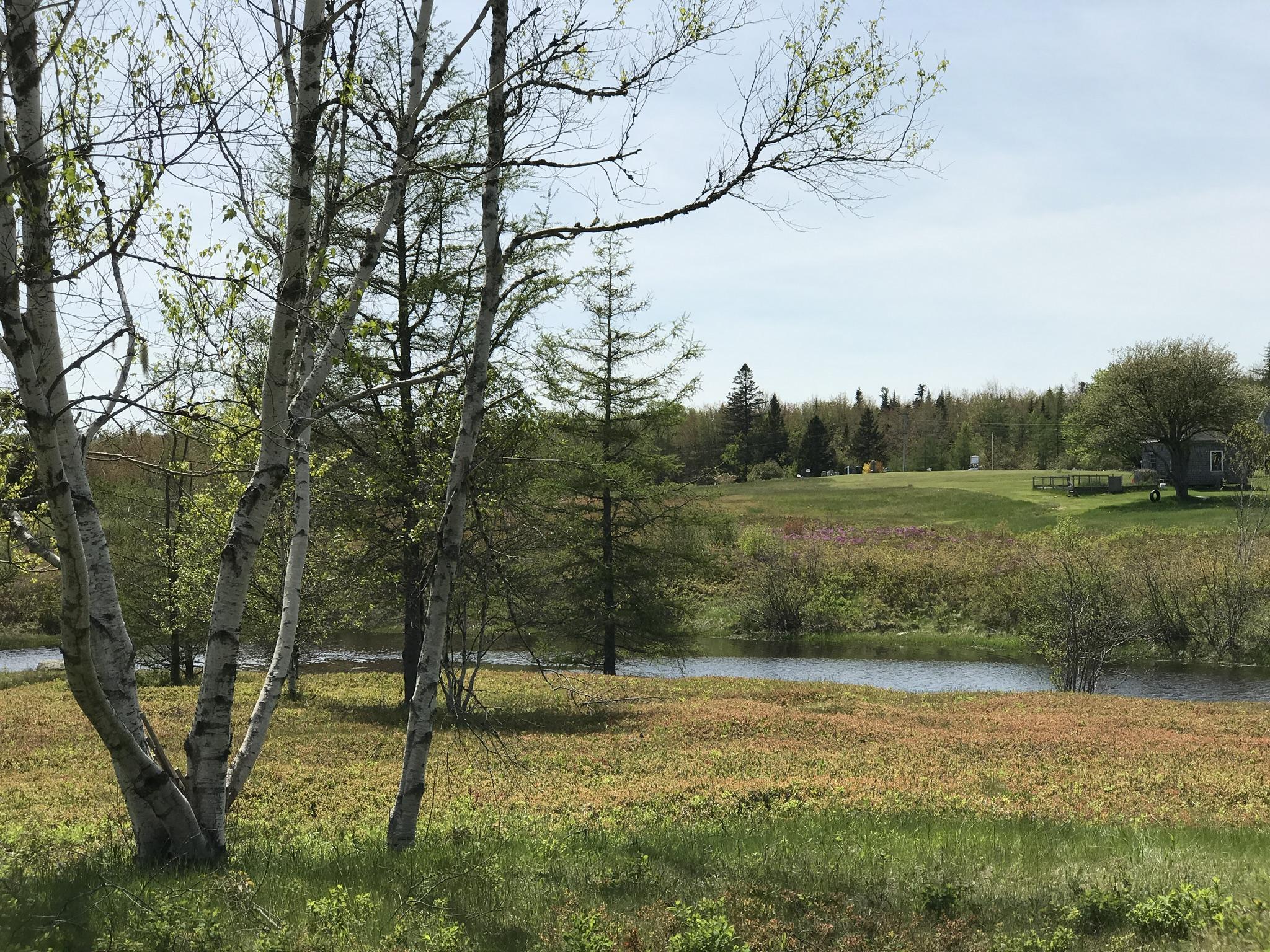 1001 Basin Road Addison, ME 04606 - Photo 6 of 16 image00011