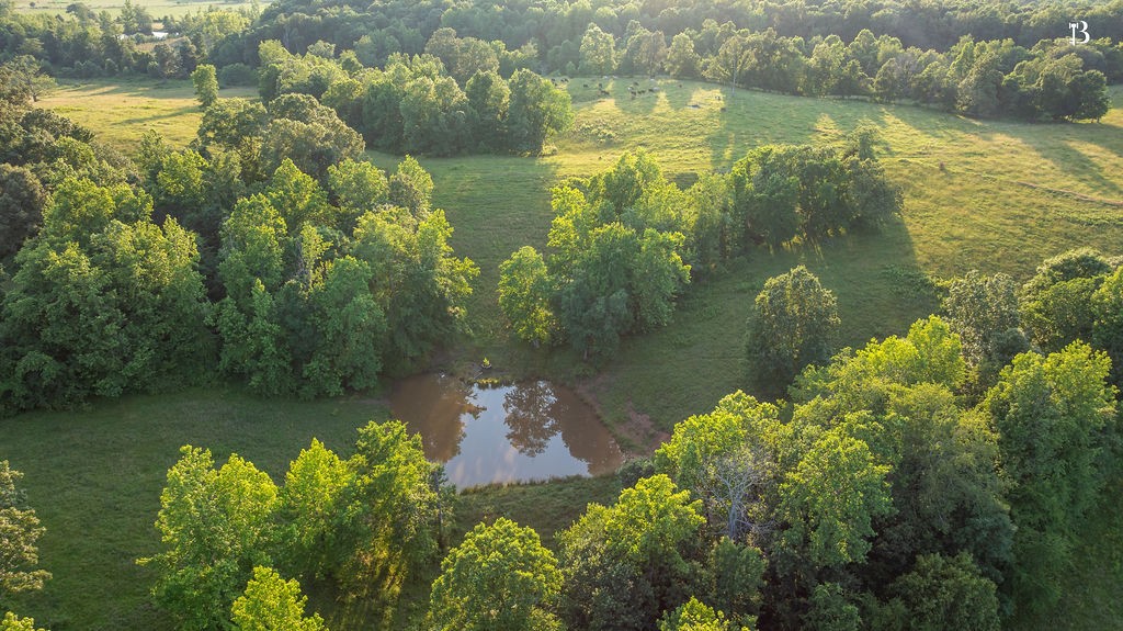 400 McIntosh Chapel Road Nortonville, KY 42442 - Photo 4 of 15 a view of a lake with a lake view